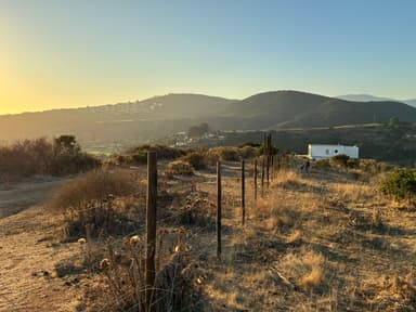 Gran Terreno en Condominio Coguiles – Entorno Natural y Vistas Panorámicas - Imagen 2 - Condominio Los Coguiles, Maitencillo