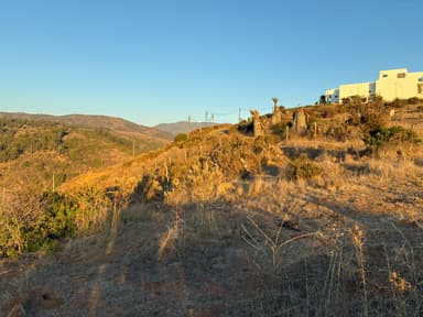 Gran Terreno en Condominio Coguiles – Entorno Natural y Vistas Panorámicas - Imagen 4 - Condominio Los Coguiles, Maitencillo
