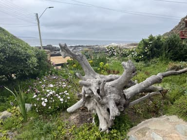 Increíble casa en playa Los Molles - Imagen 3 - Avenida los pescadores, Los Molles