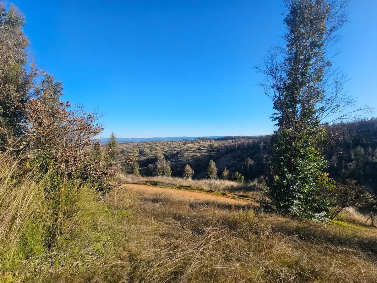 Parcela en entorno consolidado y acceso controlado - Región Libertador B. O'Higgins - 0 dormitorios, 0 baños,